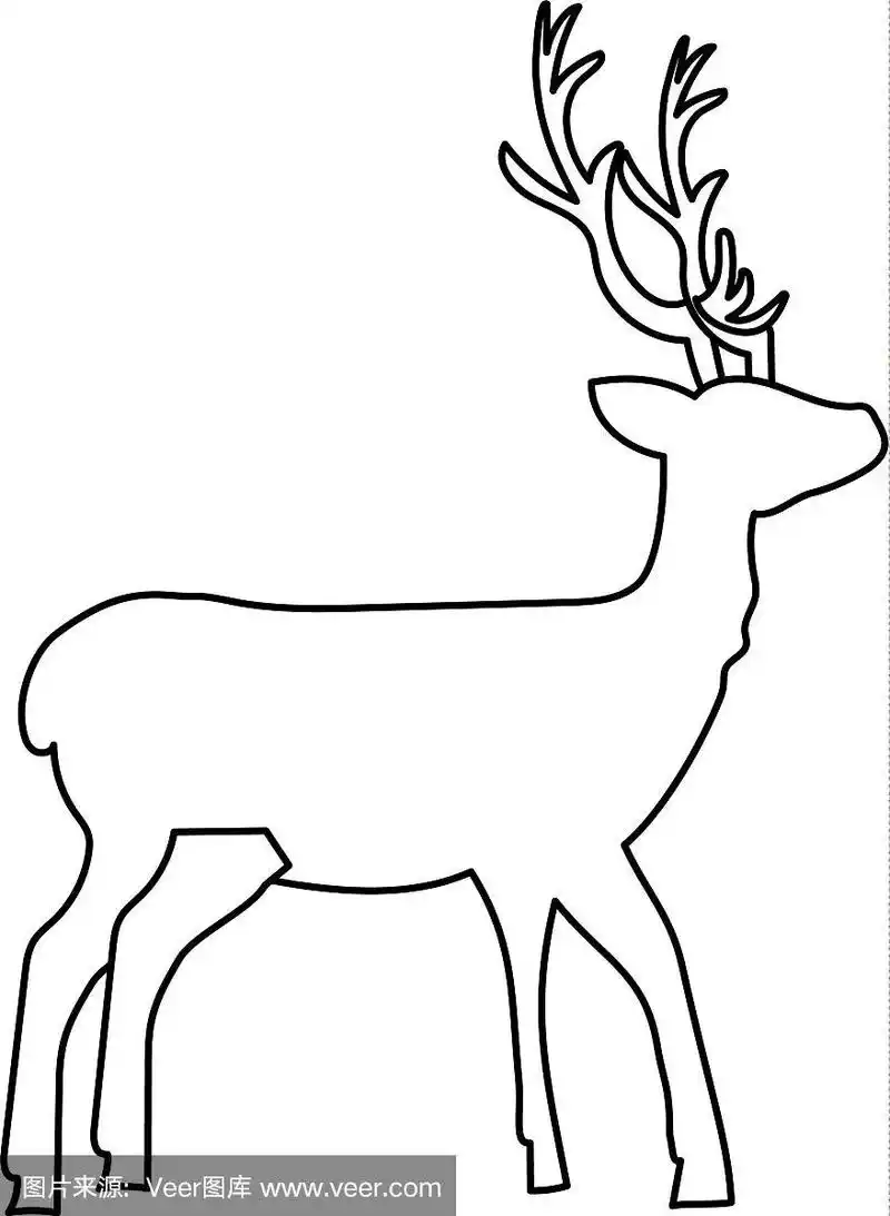 线鹿野生动物自然保护区