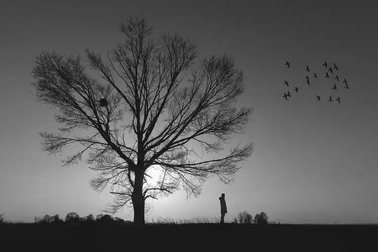 从未给自己拍过孤独的代表作于是我背着相机独自行走于田野中欣赏着