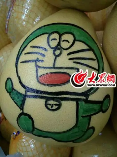 书香源金顶分校柚子作画