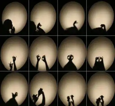 二年级下册手影戏手抄报 二年级下册手抄报