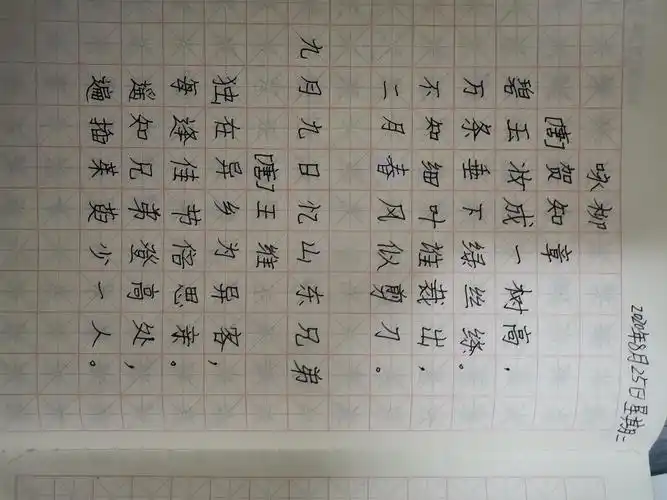 8月25日倪子峻练字,阅读,古诗,弟子规