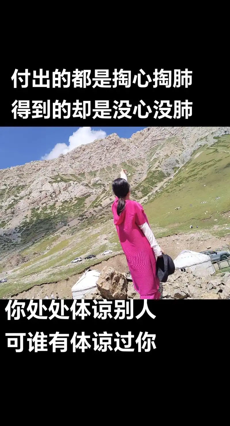 付出的都是掏心掏肺,得到的却是没心没肺,在乎的全是真情给予