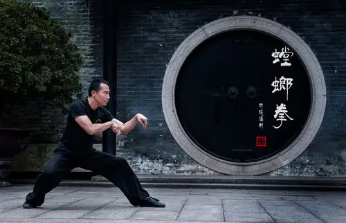 螳螂拳 - 无茗士 - 素茗斋