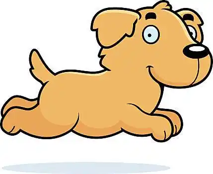 卡通,金毛猎犬,插画,跑