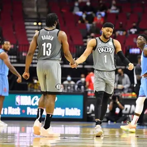 令人心安的小巨人,布鲁斯·布朗篮网生涯回顾!