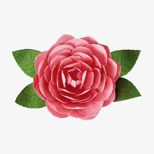 一朵红色山茶花插画免抠