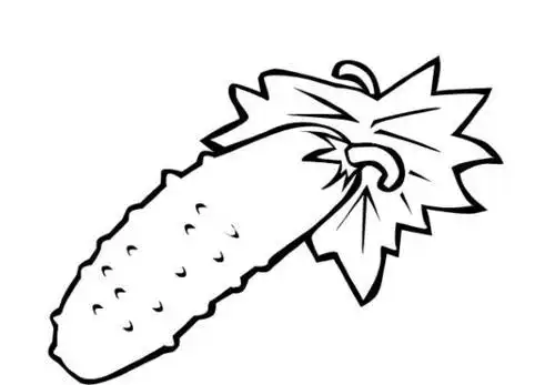 如何画苦瓜的简笔画图片