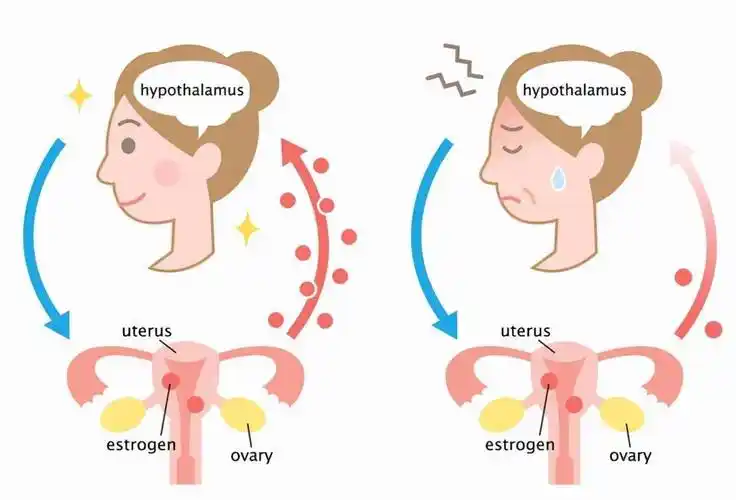 医生提醒:女人45岁后,不想雌激素越来越少,这6物,请嘴下留情_女性