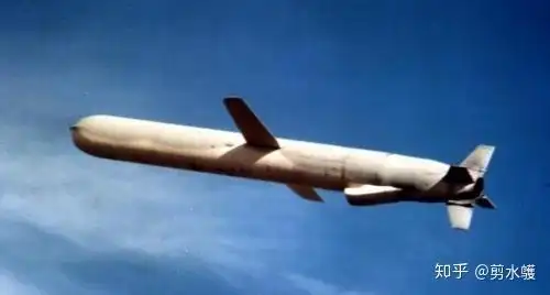 子弹药撒布器版战斧.海湾战争时大量使用的常规蛋陆攻版战斧.