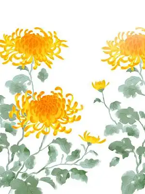 彩色手绘古风中国风水墨风菊花重阳节元素png素材