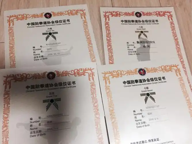 我用汗水得来的跆拳道证书