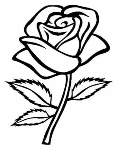 我想画七种花的简笔画我想画七种花的简笔画简笔画喇叭花的画法优质简