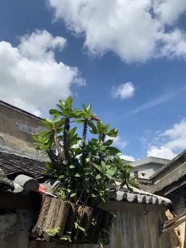 小凉帽飞雪乐园