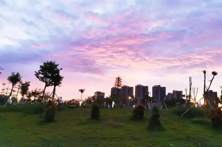 景色宜人的罗定江滨公园