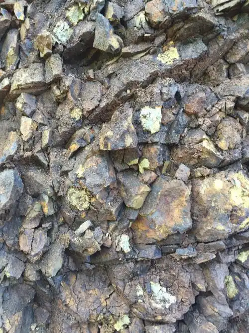 在云南地质勘察中遇到一小片基岩出露,强风化,详见附图,里面夹一些