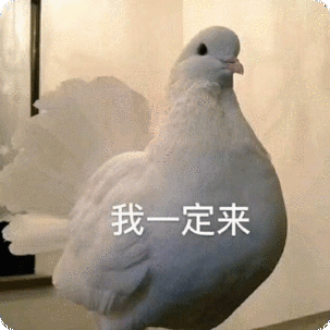 菜狗表情包_网络_菜狗_表情