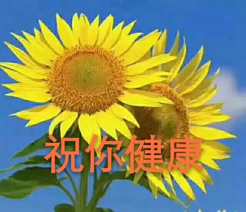 祝你健康