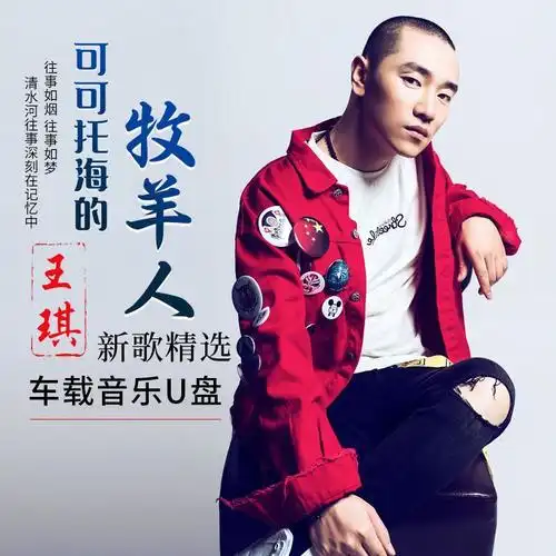 王琪专辑车载音乐u盘可可托海的牧羊人车载无损歌曲mp3优盘视频