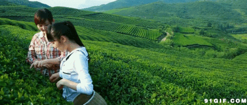 美女妩媚秀发女神gif动图_动态图_表情包下载_soogif