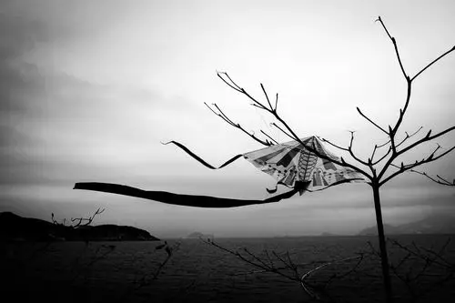 断线风筝,随风摇曳.