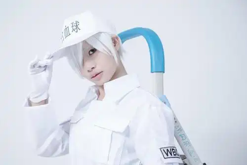 工作细胞  白血球cosplay