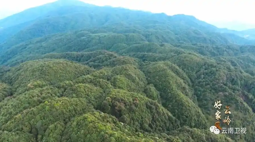 云岭好家风之67廉洁奉献清风传家云南卫视今晚2140播出