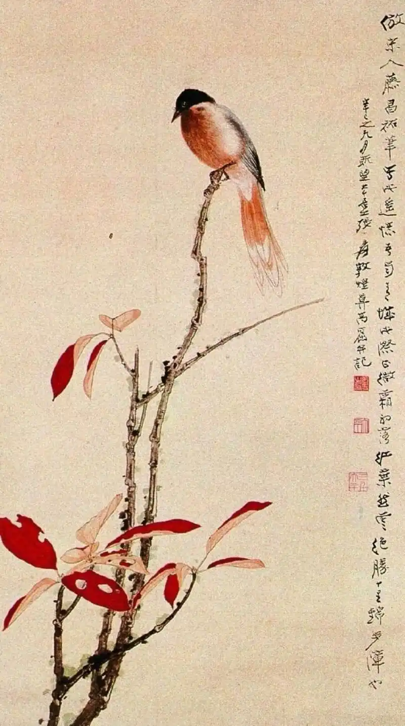 张大千工笔花鸟画欣赏