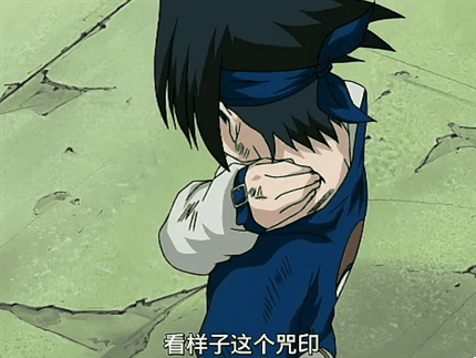 以风,火,雷,水,土,五忍村为首的各国优秀的下忍都会齐聚木叶村,届时就