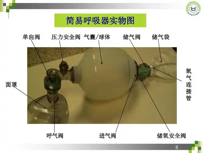简易呼吸器实物图 单向阀 压力安全阀 气囊/球体 储气阀 储气袋 面罩