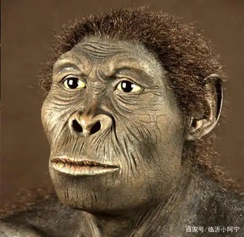 中国历史的开端——古猿人