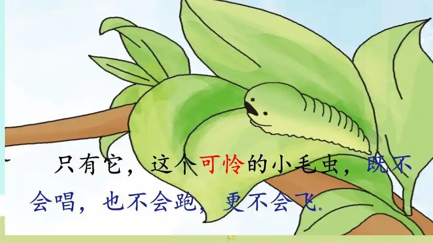 部编版二年级下册《小毛虫》课件_第5页