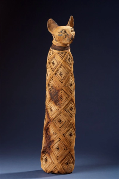 主题展览将展出的猫木乃伊(主办方供图)