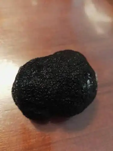 一种黑色球状蘑菇,外表颗粒状,内部光滑,叫什么