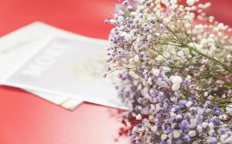 满天星背景图片唯美鲜花促销宣传海报感恩节白色背景春天花卉满天星