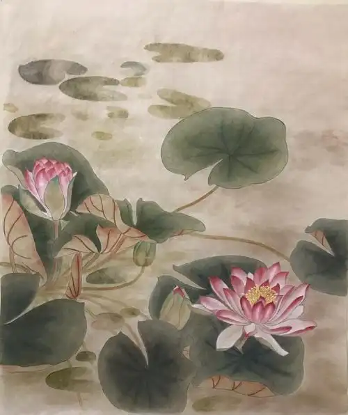 工笔小班课画纪——睡莲