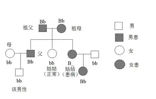下图是某家族的一种遗传病的系谱图(a表示显性基因),请分.