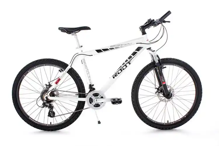 ks cycling 26" hardtail mountainbike "swanky"