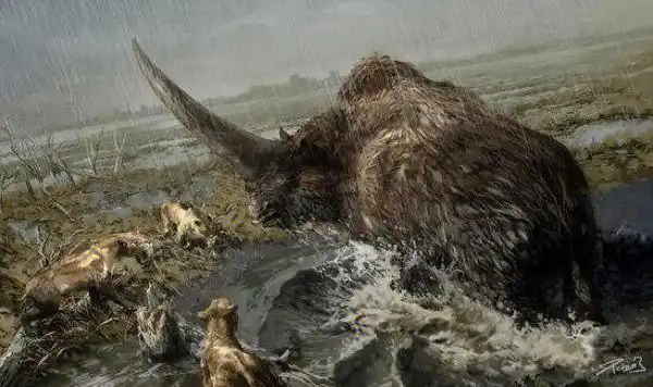 图片什么犀牛已经灭绝了更新世动物亚洲犀牛灭绝了吗犀科动物有哪些