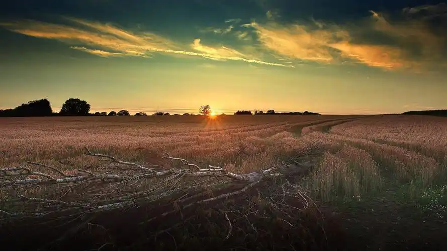 唯美意境晚霞美景桌面壁纸高清大图预览1920x1200_风景壁纸下载_美桌