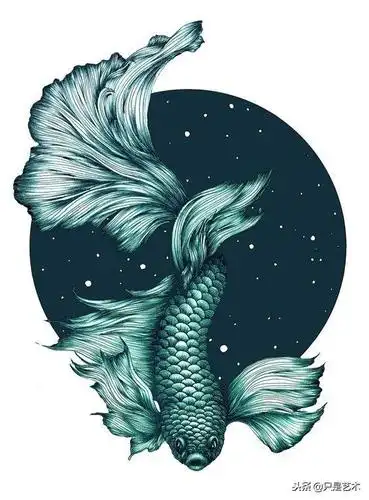 一组画鱼的素材各种画法的鱼太美了