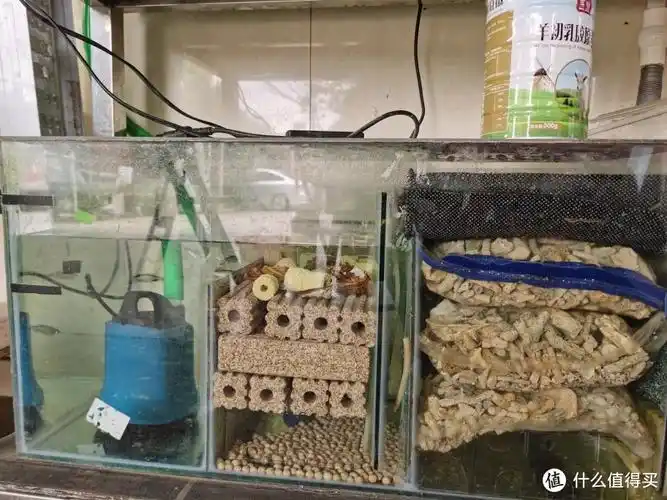 第三格细菌屋(生化区),完全可以放珊瑚骨代替.