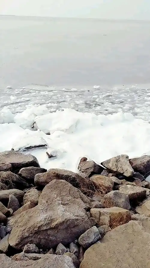 看过大海结冰什么样吗?