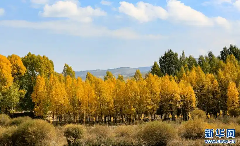 【"飞阅"中国】秋染焉支山_山丹县_张掖市_画卷
