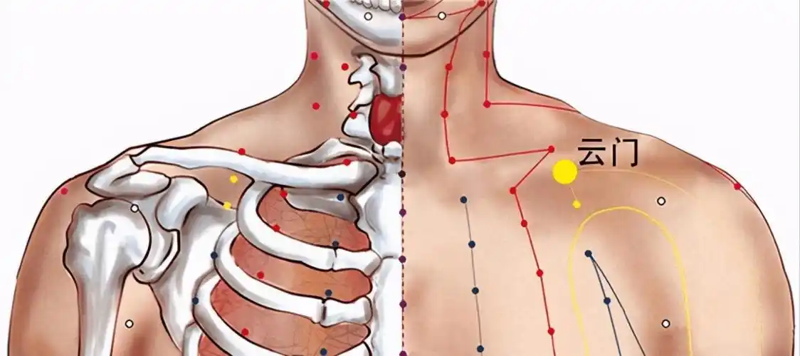 肺为娇脏想养肺具体要怎么做呢日常试试多吃这8种食物