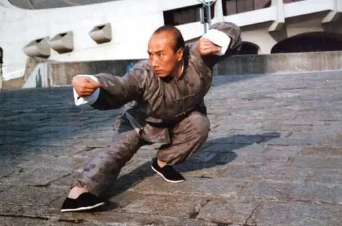 《少林寺》七星螳螂拳于海大师在家打拳!身体坚韧有力!