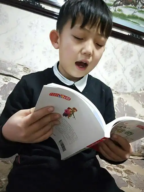 阿巴嘎旗第二小学150班谢宇晨 《像皮镇传奇》车培晶