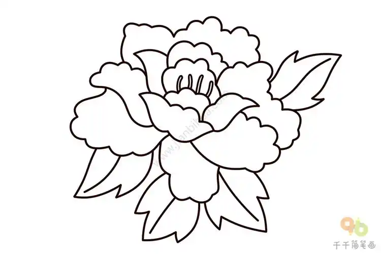 儿童学画牡丹花简笔画