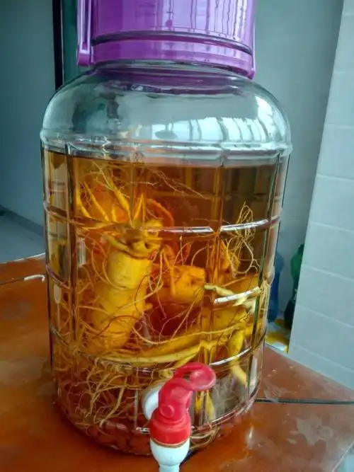 人参酒的功效与作用是什么人参泡酒的功效有哪些