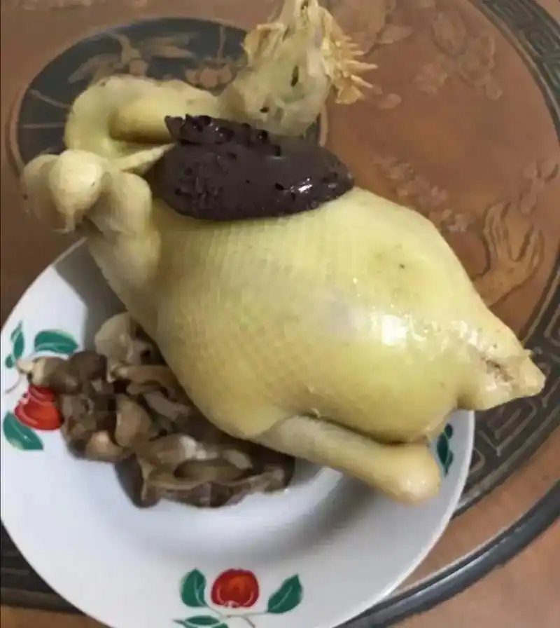 广东人为啥拜神都是用鸡拜呢? - 抖音