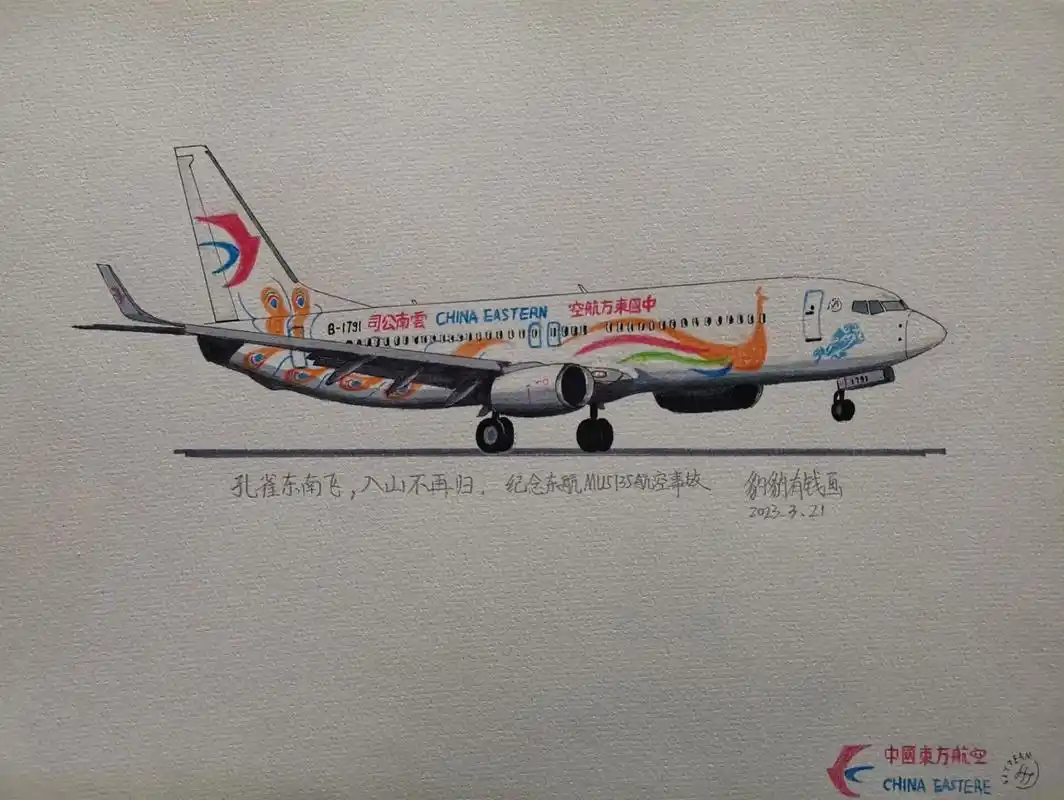 画一架东航孔雀机,纪念mu5735航空事故一周年